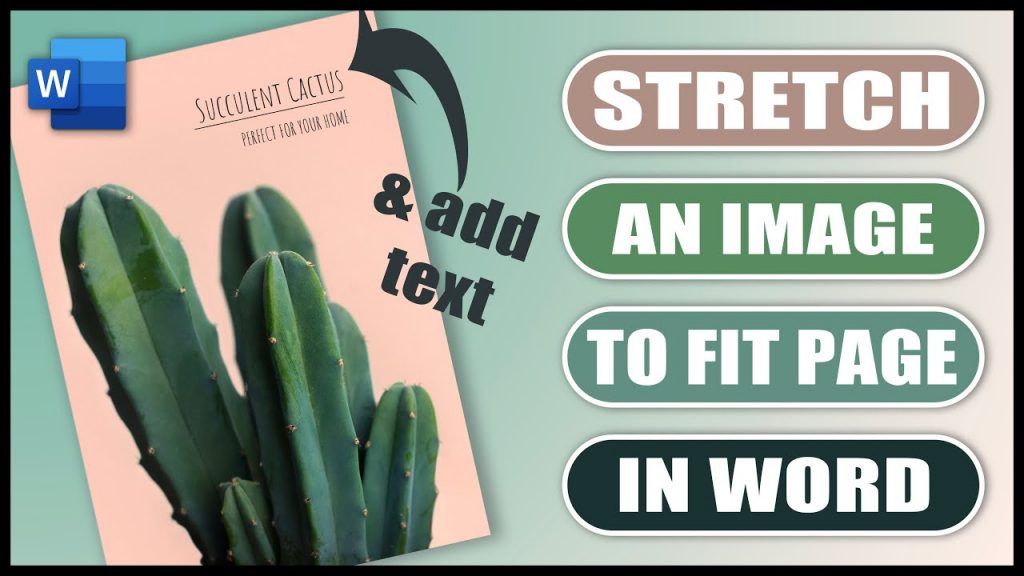 “Maximizing Your Images in Word: Tips for Stretching and Adding Text” “Maximizing Your Images in Word: Tips for Stretching and Adding Text”