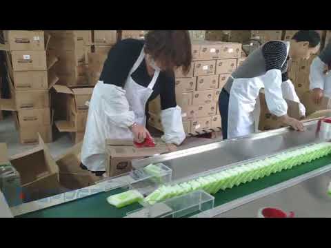 “Efficient Packing Solution for Soap: Enhance Your Production with Foshan Upper’s Flow Packing Machine” “Efficient Packing Solution for Soap: Enhance Your Production with Foshan Upper’s Flow Packing Machine”