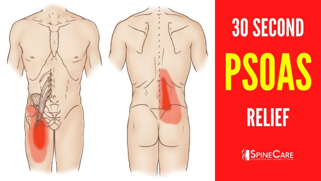“Quickly Relieve Psoas Muscle Tightness with Simple 30-Second Fixes” “Quickly Relieve Psoas Muscle Tightness with Simple 30-Second Fixes”