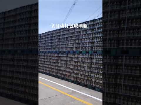 Packaging Solution: PET Strapping for Safe Glass Bottle Transportation