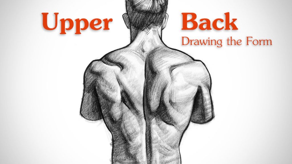 “Mastering Upper Back Muscles: Techniques for Drawing Form” “Mastering Upper Back Muscles: Techniques for Drawing Form”