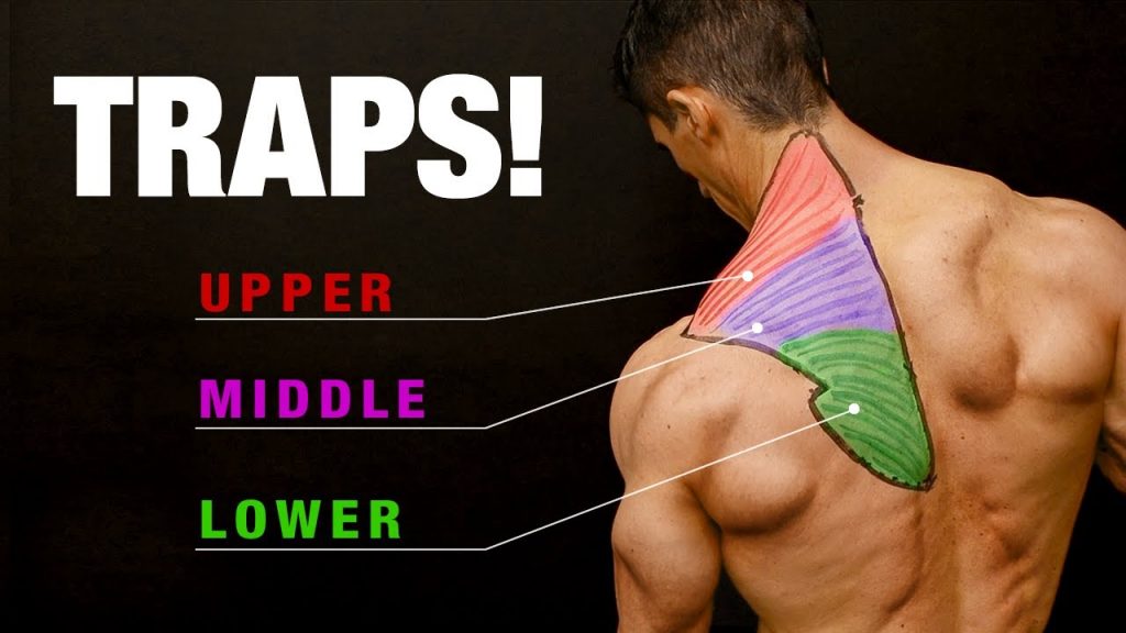 “Mastering the Art of Traps: A Comprehensive Guide to Growth and Success” “Mastering the Art of Traps: A Comprehensive Guide to Growth and Success”