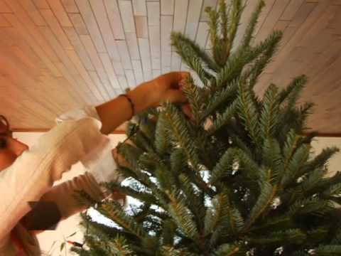 “Light Up Your Christmas: A Step-by-Step Guide on How to String Tree Lights” “Light Up Your Christmas: A Step-by-Step Guide on How to String Tree Lights”