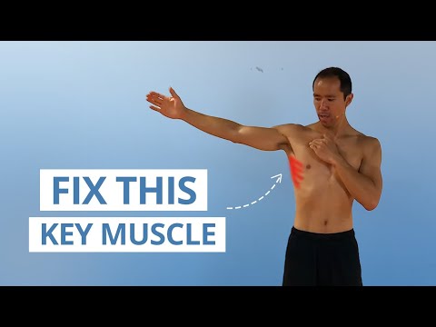 Power Up Your Shoulders with These 5 Top Serratus Anterior Workouts Power Up Your Shoulders with These 5 Top Serratus Anterior Workouts
