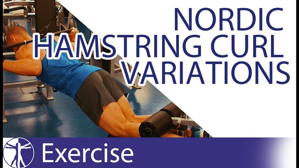 “Expand Your Hamstring Training with Nordic Curl Variations” “Expand Your Hamstring Training with Nordic Curl Variations”
