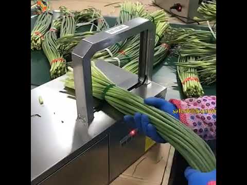 Package for Securing Vegetable with Opp Film Tape Package for Securing Vegetable with Opp Film Tape