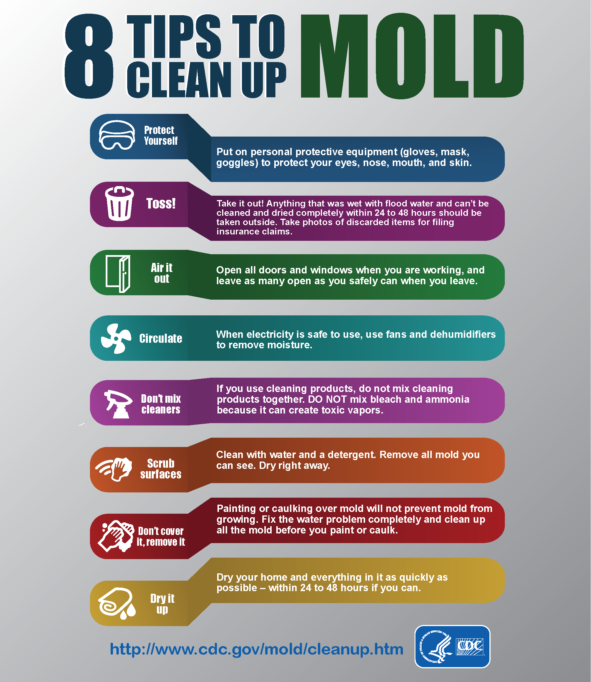 Mold remediation techniques, Mold cleaning methods, Mold prevention strategies